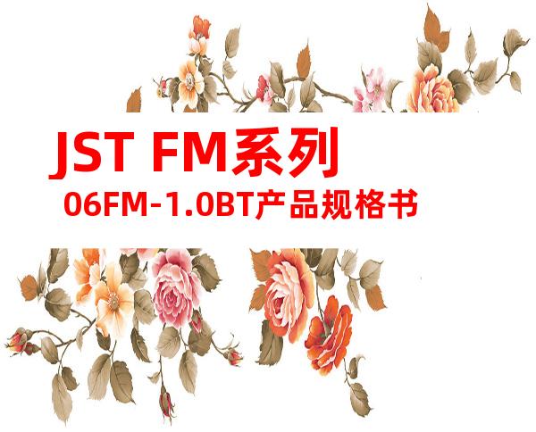 JST FM系列 06FM-1.0BT产品规格书